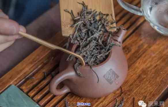 小普洱茶泡法：怎么泡出好喝的味道