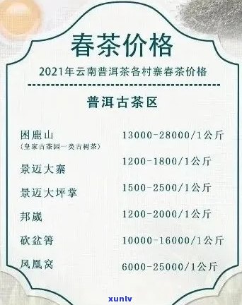 御品普洱茶价格解析：从品种到年份，全面了解购买指南与市场行情