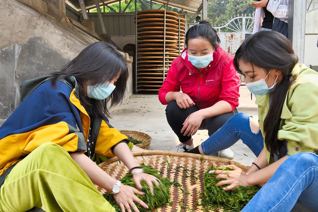 普洱茶脏吗？怎么喝好？