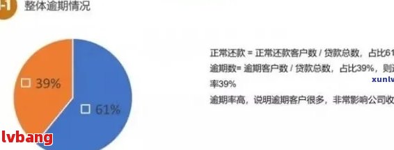 企业贷款逾期一天的影响及其解决办法：全面分析和建议