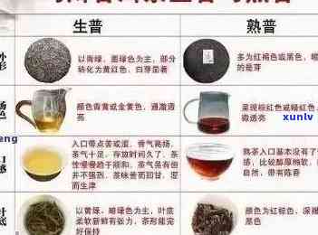 南糯山普洱茶：色的秘密、品鉴与鉴、如何挑选优质茶