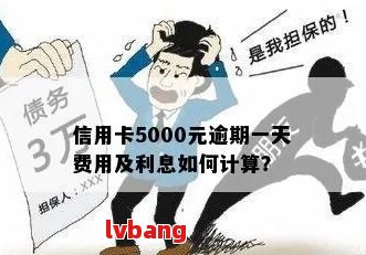 信用卡逾期费用计算方法：5000额度如何应对？