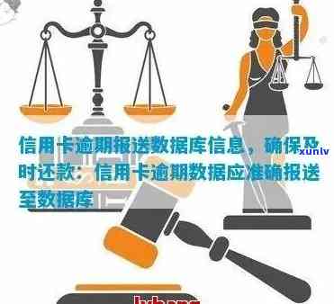 网贷逾期上报数据库的后果与处理方法：全面解析与建议