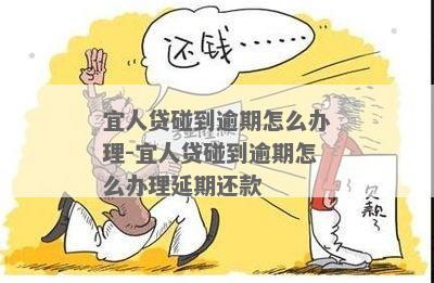  '宜人贷' 还款日第二天的逾期风险与解决策略 