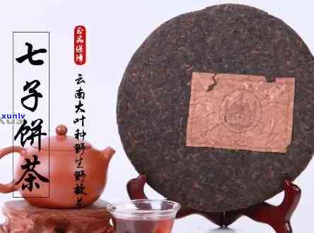 勐海七子饼茶老班章价格及厂家信息：357克多少钱？