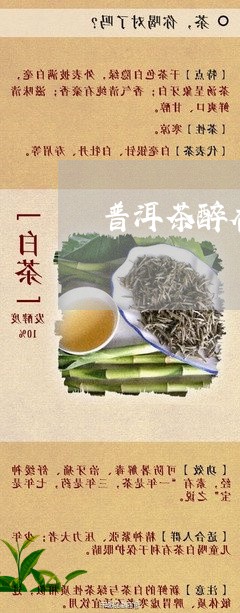 醉春香普洱茶好喝吗怎么样