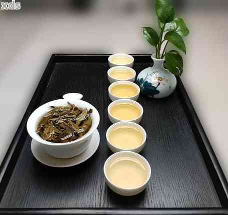 大益普洱茶中的顶级品鉴：如何挑选的大益普洱茶？