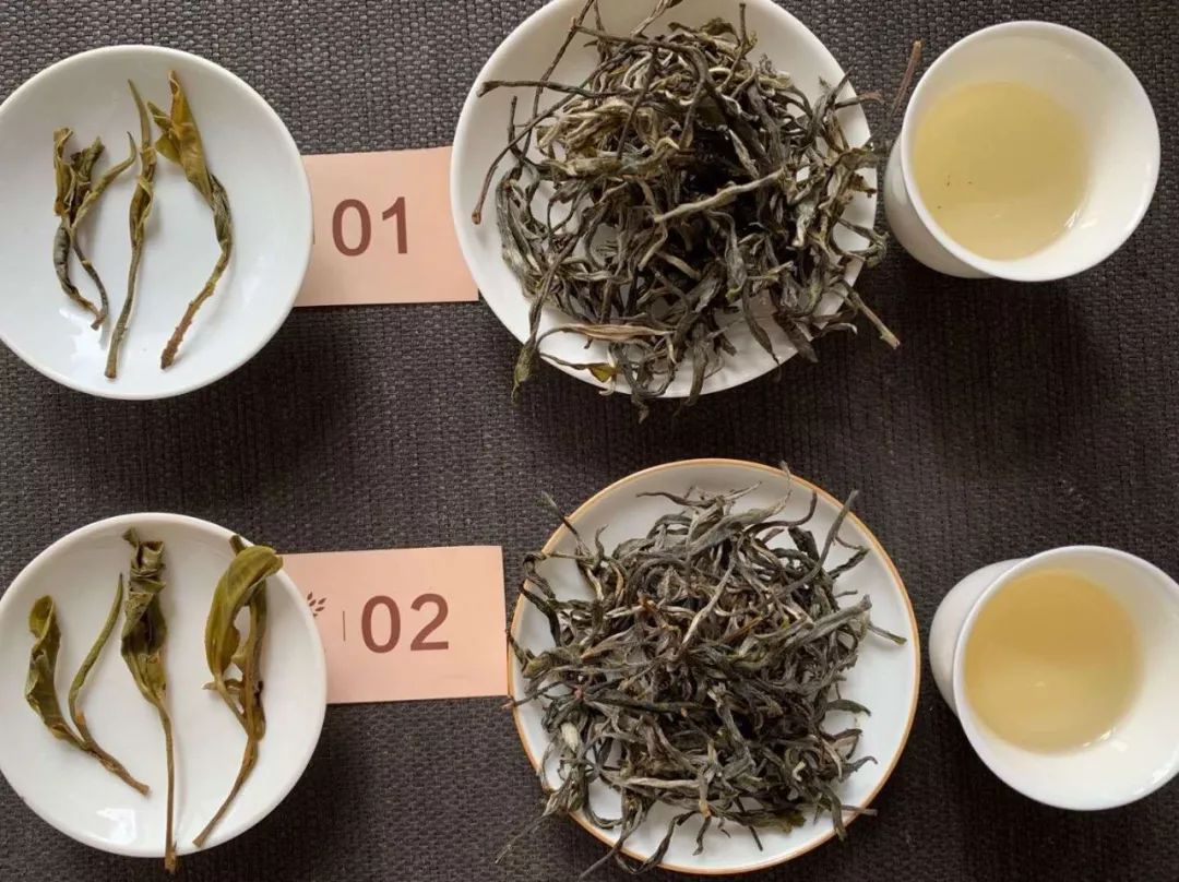 40厘米普洱茶饼的克重和尺寸：从何时开始制作？