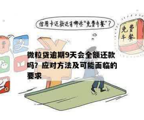 微粒贷逾期还款宽限期：多长时间后需要全额偿还？