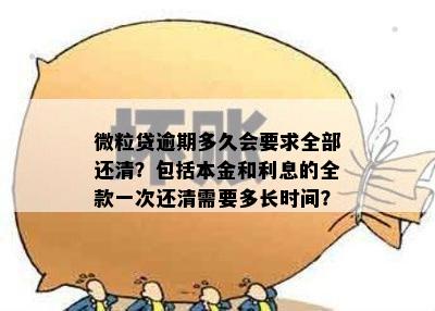 微粒贷逾期还款宽限期：多长时间后需要全额偿还？