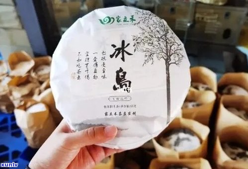 冰岛五寨茶叶品质与厂家全面对比：寻找正宗冰岛茶的选择