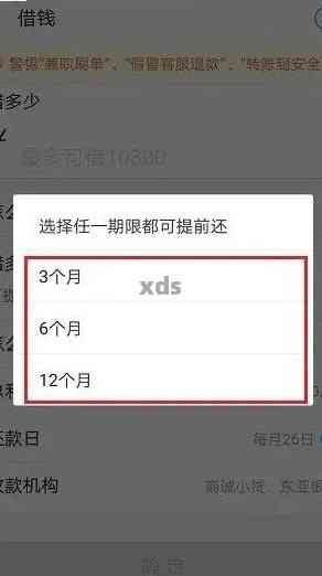 关于借呗分期6个月提前还款的详细解答及注意事项，用户可参考了解