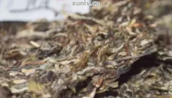 晒青的普洱茶能喝吗有吗会中吗-晒青的普洱茶能喝吗有吗会中吗视频