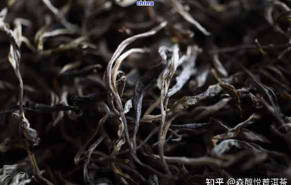 探究普洱茶分类：晒青普洱属于熟茶还是生茶？