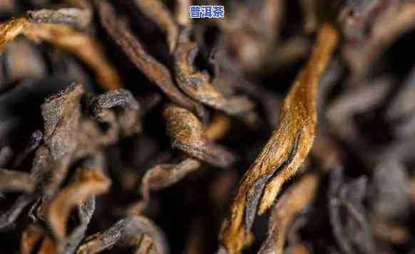 探究普洱茶分类：晒青普洱属于熟茶还是生茶？