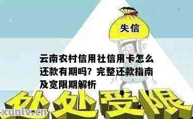 云南农信信用卡还款宽限期详细解读，用户常见问题一网打尽！