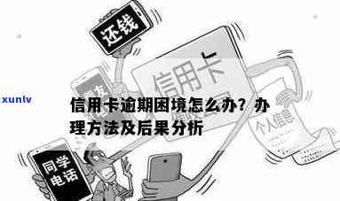 新信用卡还款逾期陷阱：如何应对错过还款日期的困境？