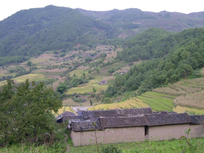 田的普洱茶好喝吗怎么样