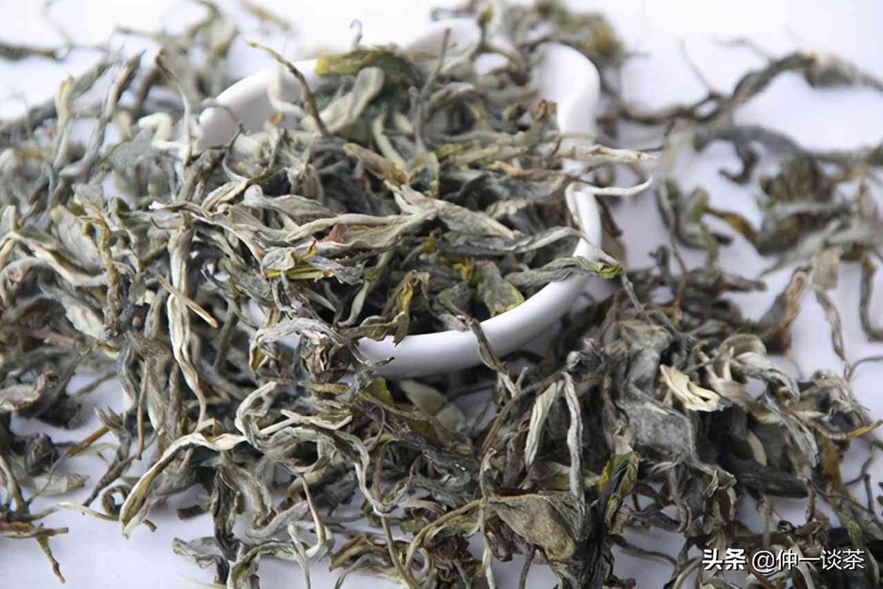 如何分辨普洱茶春茶和秋茶：掌握四个关键特征，轻松辨别茶叶种类。