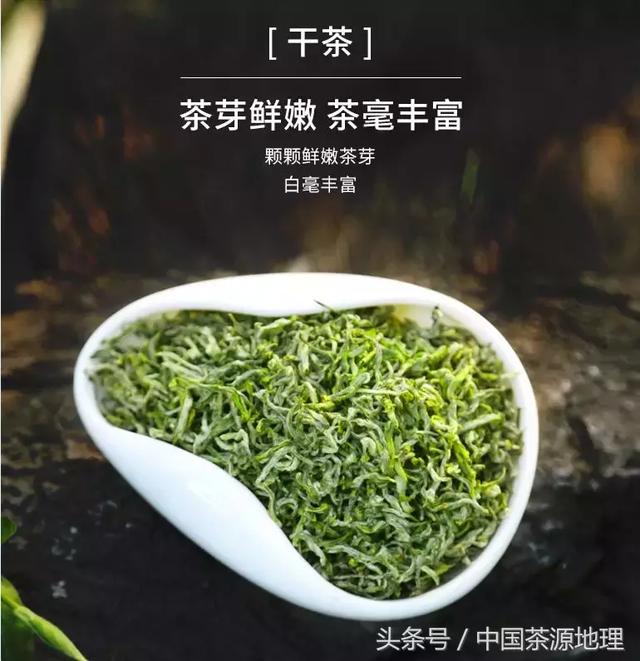 如何识别普洱茶春茶和秋茶