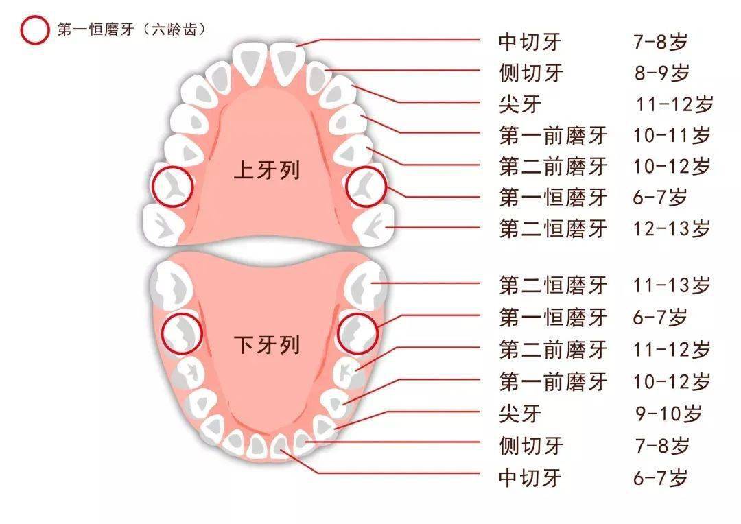 喝普洱茶舌苔变黑是怎么回事：探究原因与影响