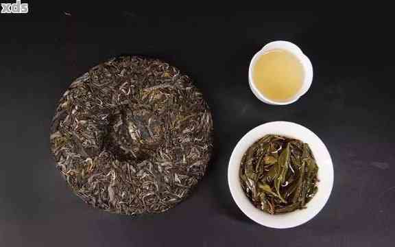 大叶普洱茶饼与小叶普洱茶饼：口感和香气的对比分析