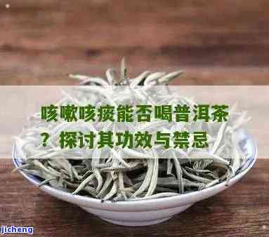 喝普洱茶后咳嗽有痰该如何处理？