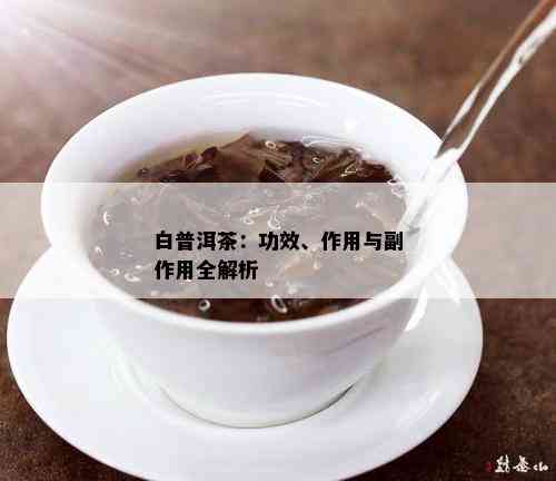 白普洱茶的全面功效、主治作用及适用人群解析：为何它备受茶客推崇？