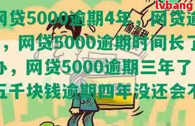 网贷5000逾期超3个月，如何处理？