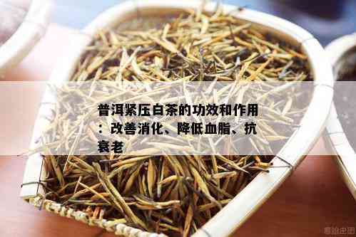 白普洱茶的八大神奇功效：抗衰老、降脂降压、提高免疫力等