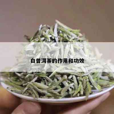 白普洱茶的功效与主治作用