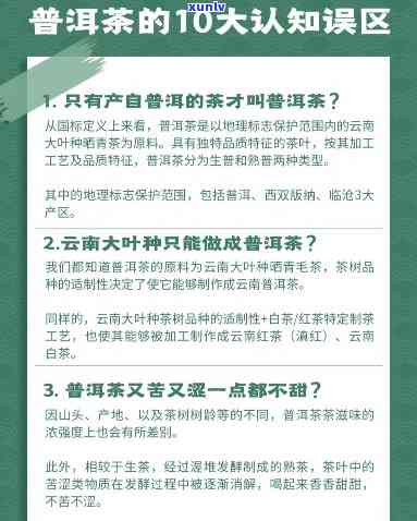 普洱茶的迷思：揭露你所不知道的传统误区与现代认知冲突