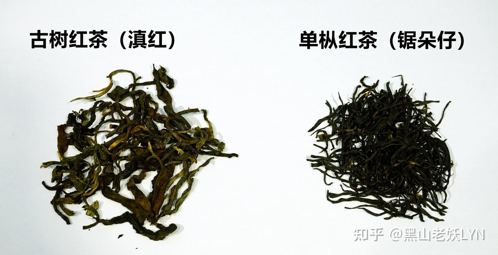 普洱茶和单枞的区别是什么意思？