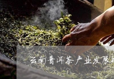 普洱茶产业十四五发展规划