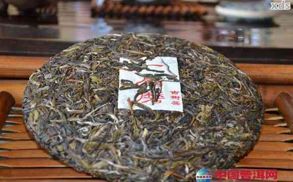 新 8g普洱茶小饼的价格分析：哪个最实？