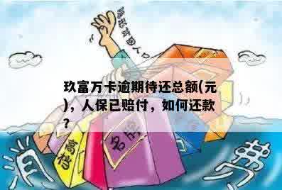 从人保帮我还了玖富万卡逾期款项后，我应该如何进行还款？