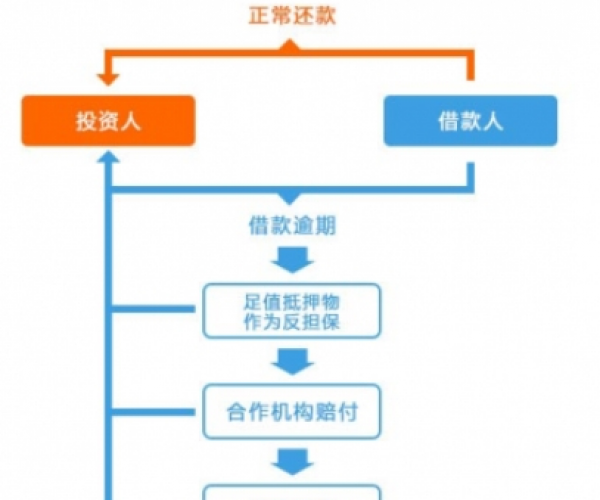 逾期还款困境：无扣款功能导致无法主动还款的解决策略