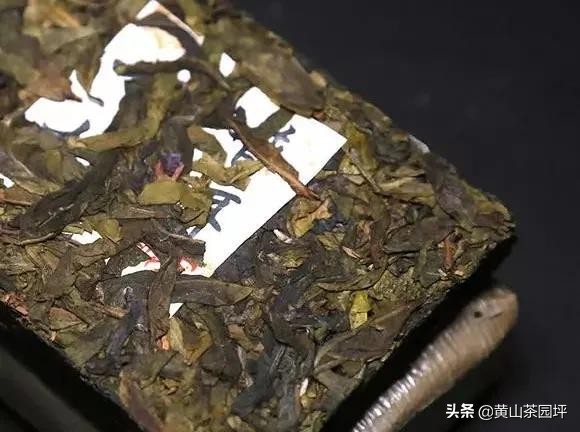 普洱茶饼黄色物质解析：正常现象还是品质问题？如何正确品鉴与购买？