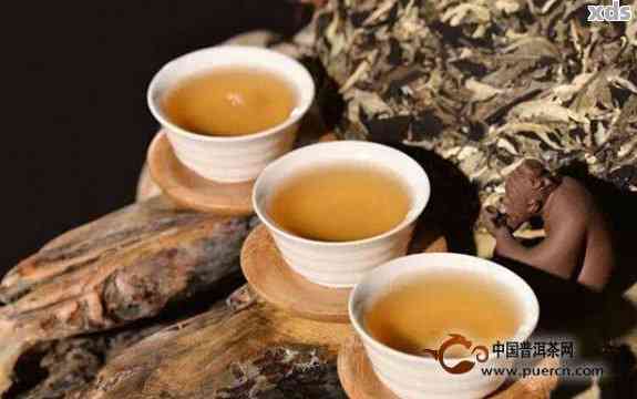 菩提茶是否属于普洱茶？为什么不适合饮用？