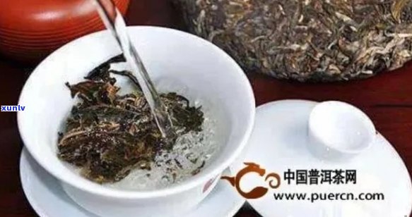 如何泡制一杯美味的普洱茶？所需茶叶克数及详细步骤解析