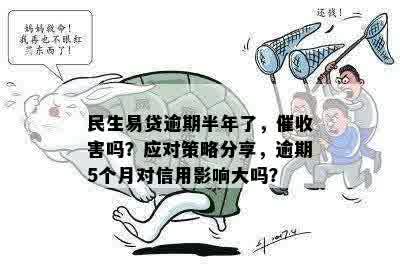 关于民生易贷逾期是否影响的探讨