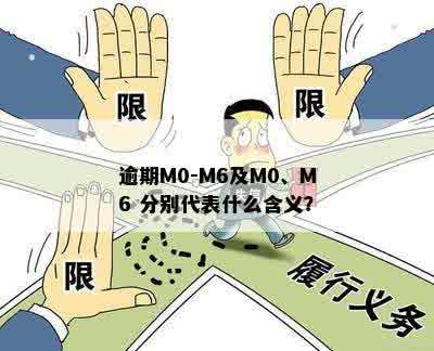 M0逾期：理解金融术语，掌握财务管理