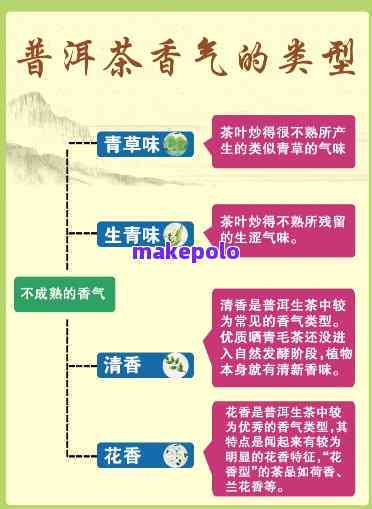 探究普洱茶养胃的科学原理及适用人群