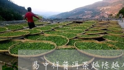 易中祥：普洱茶陈年魅力揭秘，是否真的越陈越香？