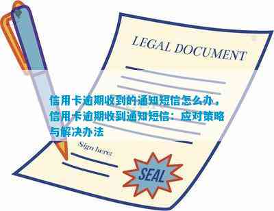 信用卡逾期风险警示：未曾办理却收到逾期通知的实际应对策略