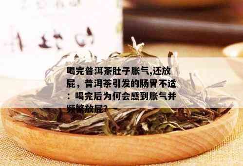 喝普洱茶气足一直放屁好吗？怎么回事？