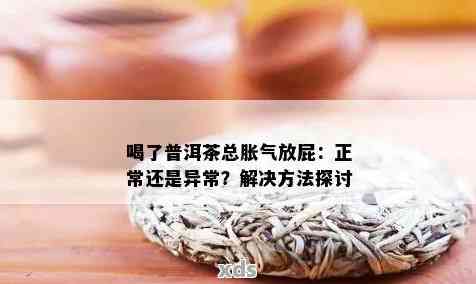 喝普洱茶气足一直放屁好吗