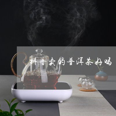 抖音最火普洱茶大揭秘：哪款普洱茶在抖音上更受欢迎？