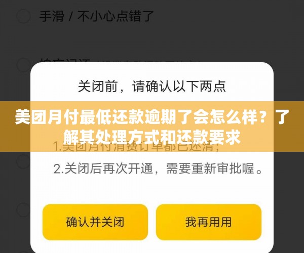 美团逾期还款全攻略：如何处理逾期、分期还款及期还款问题