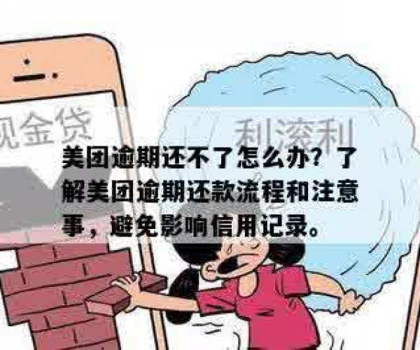 美团逾期还款全攻略：如何处理逾期、分期还款及期还款问题